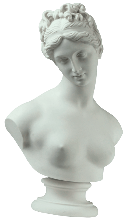 bust